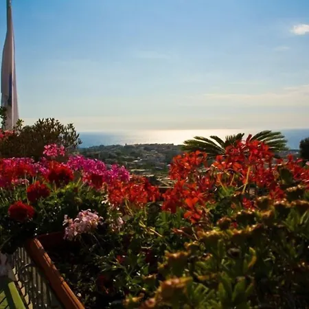 Parco La Rosa 酒店 Forio di Ischia